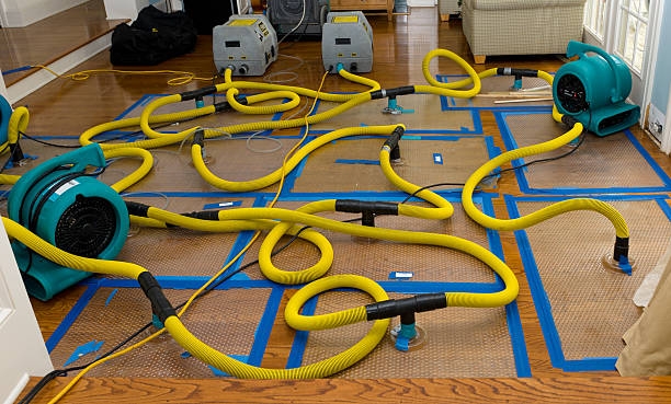 Professional Flood Damage Restoration technician working in Langsville, OH